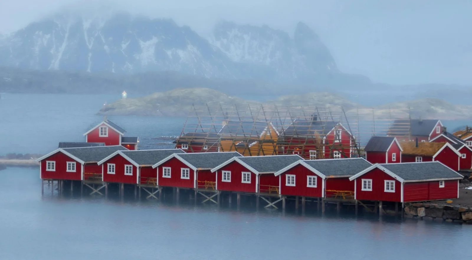 A row of red rorbuer over the water on a misty morning at Hamnoy